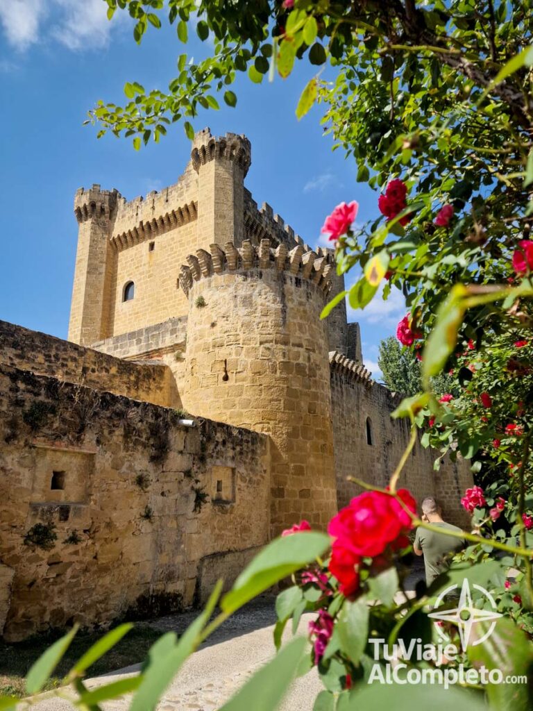 castillo de sajazarra con flores alrededor